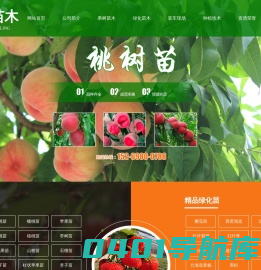 香椿苗-苹果苗-核桃苗-石榴苗-花椒苗-板栗苗-梨/桃/枣/杏苗-泰安市龙烁苗木有限公司