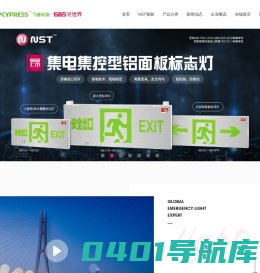 安徽拿斯特照明科技有限公司
