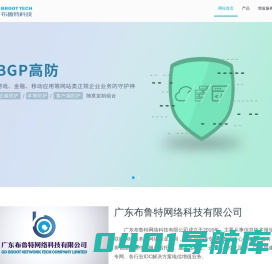 广东布鲁特网络科技有限公司
