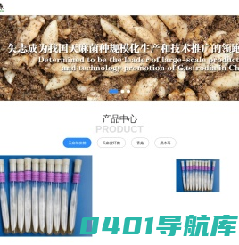 春森菌业-陕西春森菌业有限公司&陕西省西乡县食用菌研究所 - 天麻萌发菌,天麻蜜环菌,萌发菌菌种,蜜环菌菌种,陕西萌发菌,陕西蜜环菌,食用菌菌种