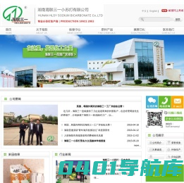 湖南海联三一小苏打有限公司