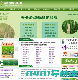 国家水稻数据中心