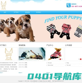 阿尔法宠物光影