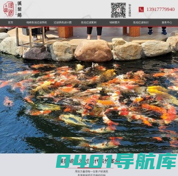 鱼池过滤系统设计图_锦鲤鱼池过滤系统_鱼池水处理_溪留锦