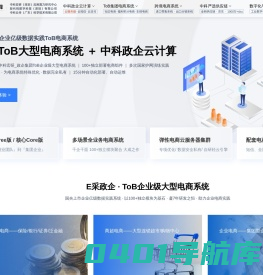中科政企云计算_政企集团ToB企业级大型电商系统_轻代码数科_中科宏研_电商云服务器_电商系统_独立电商系统_电商系统开发_新零售_数字化