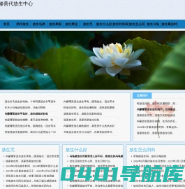 代放生鸟_放生什么鸟最好_代放生好处_高考放生鸟回向_修善代放生中心