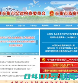 辛集市纪委监委网站