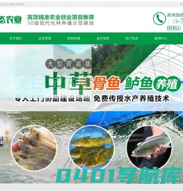 广西隆宁生态农业有限公司-广西隆宁生态农业有限公司