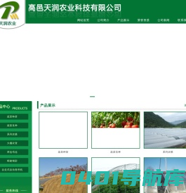 天润农业_高邑天润_高邑农调_天润苗场-高邑天润农业科技有限公司