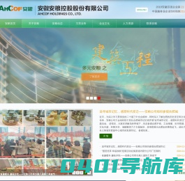 安徽安粮控股股份有限公司