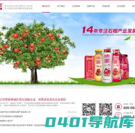 美果来——致力中国石榴产业发展