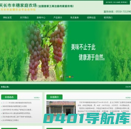 水稻-天长市丰穗家庭农场