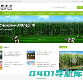 青贮玉米牛必乐_牛羊爱吃好饲草_认准禾佳源_北京禾佳源农业科技股份有限公司