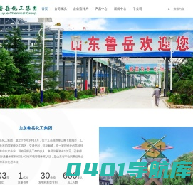 山东鲁岳化工集团|二氯乙烷|二甲基二烯丙基氯化铵|烯丙基胺