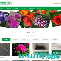 草坪种子-花卉种子-牧草种子大量批发沭阳花草苗木销售公司
