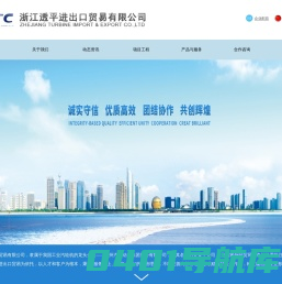 首页_浙江透平进出口贸易有限公司