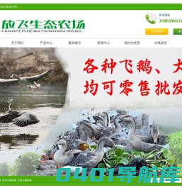 大雁苗_飞鹅养殖_杭州灰雁销售_灰雁_斑头雁养殖场_金华兰溪放飞生态农场