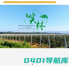 苹果矮化自根砧脱毒苗木,烟台果树栽植,烟台苹果苗木_烟台实林农业科技有限公司