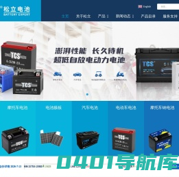 厦门松立新能源科技有限公司