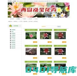 青岛睡莲|山东睡莲|泓莹花卉|青岛市泓莹水生花卉生态养殖场