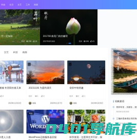 不系之舟