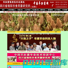羊肚菌，羊肚菌技术培训，羊肚菌技术培训班，羊肚菌技术培训中心，羊肚菌种植，羊肚菌菌种，食用菌，四川省绵阳市食用菌研究所