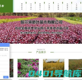 哈尔滨新叶苗木有限公司