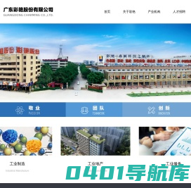 广东彩艳股份有限公司