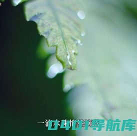 单级离心泵-不锈钢自吸泵-磁力驱动泵-化工液下泵-建安泵业