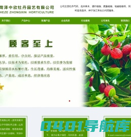 牡丹芍药、花卉苗木、果树苗木、观叶植物、爬藤植物、园林树木―菏泽中欣牡丹园艺有限公司