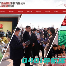 红薯苗_甘薯苗_地瓜苗_紫薯苗-济宁金藤薯业科技有限公司
