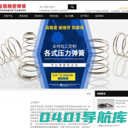 深龙盾弹簧定制加工厂家-压缩弹簧 拉伸弹簧 扭转弹簧 波形弹簧