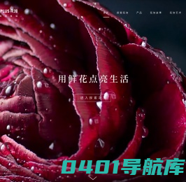 FLŌWERPLUS 花加(花+)鲜花订阅,包月鲜花-用鲜花点亮生活,网上订花【花加】