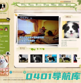菲凡犬舍-边境牧羊犬_边境牧羊犬价格_边境牧羊犬吧_边境牧羊犬图片