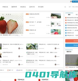 给力草莓网-草莓品种介绍及种植管理 -  Powered by Discuz!