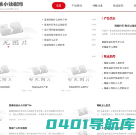 恩慈小辣椒网