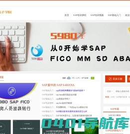 SAP培训_SAP培训课程学习及SAP培训视频资料下载-SAP桔子学院