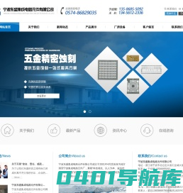 宁波东盛集成电路元件有限公司