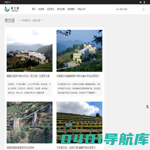 白芽奇兰_源自福建平和大芹山高山乌龙茶|奇兰颂