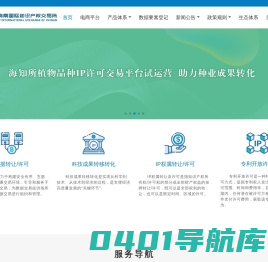 海南国际知识产权交易所有限责任公司