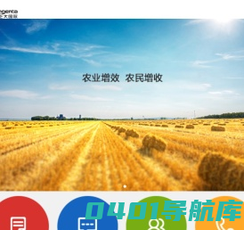 金正大集团