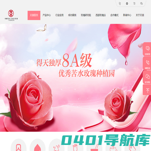 天润玫瑰|苦水玫瑰原料供应|苦水玫瑰厂家|东方天润玫瑰官网