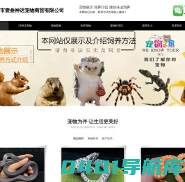 爬宠_宠物网_宠物蛇_玉米蛇_宠物蛇专卖网_壹叁神话宠物