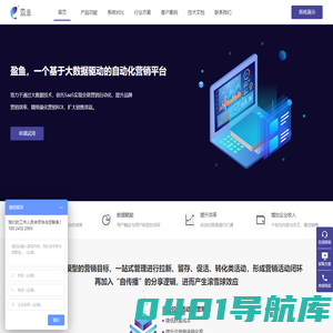 自动化营销系统，专注于为企业提供大数据精准营销解决方案-盈鱼MA