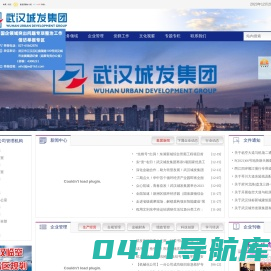 武汉城市发展集团有限公司