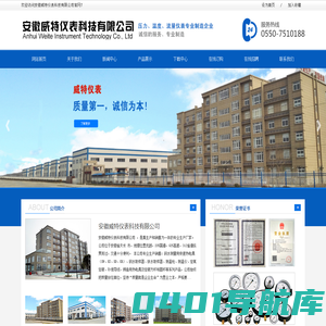 安徽威特仪表科技有限公司