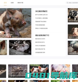 今日猪价网_养猪e网-今日生猪价格走势|最新生猪价格行情|猪价行情预测-2024年生猪价格行情_2024年养猪行情预测