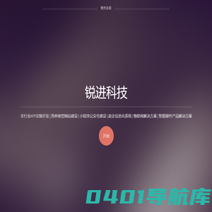 大连锐进科技发展有限公司官网