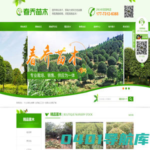 长沙县黄兴镇春乔苗木场_长沙黄兴镇春乔苗木|春乔苗木|苗木移栽哪家好