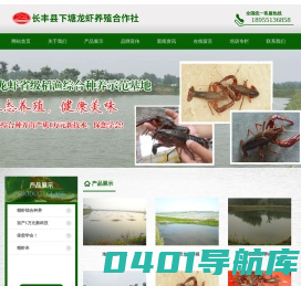 下塘龙虾|下塘龙虾省级稻渔综合种养示范基地